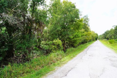 Terrain à Arcadia, Floride № 2354699