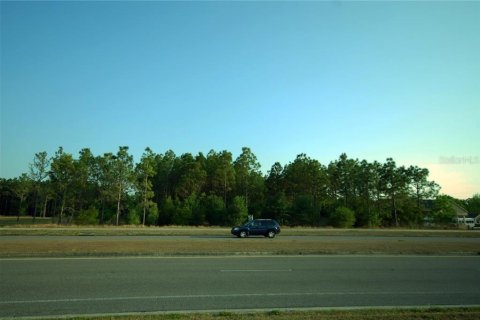 Terrain à Wesley Chapel, Floride № 2298675