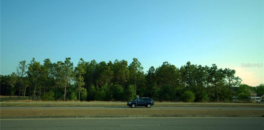 Terrain à Wesley Chapel, Floride № 2298675