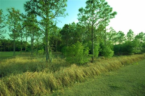 Terrain à vendre à Wesley Chapel, Floride № 2298675 - photo 5