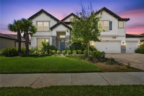 House in Wesley Chapel, Florida 6 bedrooms, 506.5 sq.m. № 2391364