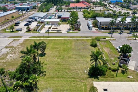 Land in Punta Gorda, Florida № 1650845 - photo 8