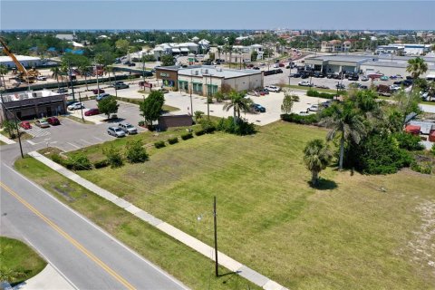 Land in Punta Gorda, Florida № 1650845 - photo 7