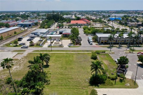 Land in Punta Gorda, Florida № 1650845 - photo 11