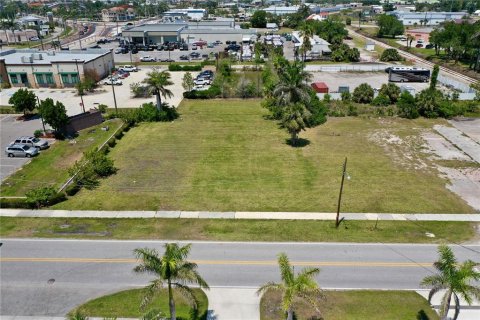 Land in Punta Gorda, Florida № 1650845 - photo 10