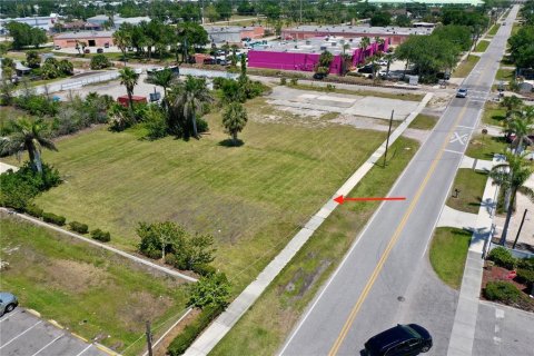 Land in Punta Gorda, Florida № 1650845 - photo 9