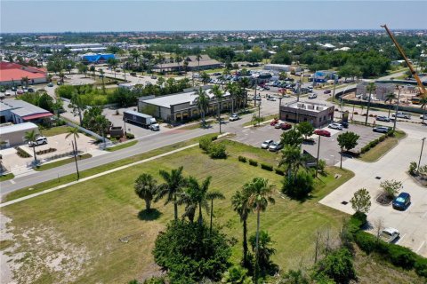 Land in Punta Gorda, Florida № 1650845 - photo 14