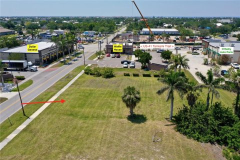 Land in Punta Gorda, Florida № 1650845 - photo 3