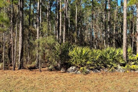 Terreno en venta en Ocala, Florida № 1511887 - foto 3