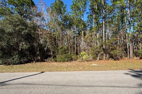 Terreno en venta en Ocala, Florida № 1511887 - foto 7