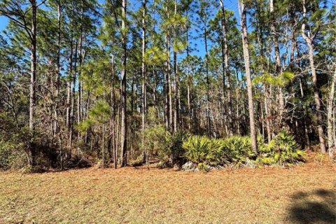 Terreno en venta en Ocala, Florida № 1511887 - foto 4