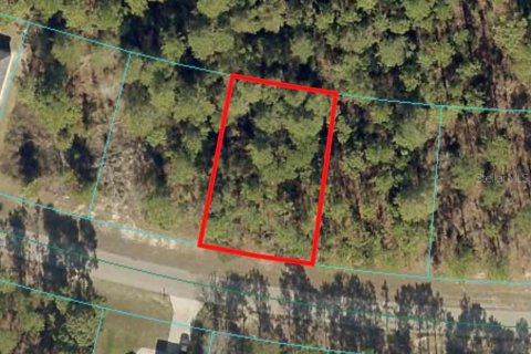 Terreno en venta en Ocala, Florida № 1511887 - foto 1