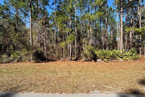Terreno en venta en Ocala, Florida № 1511887 - foto 5