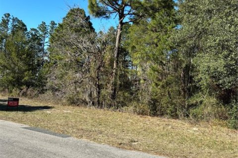 Terreno en venta en Ocala, Florida № 1511887 - foto 6