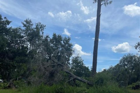 Land in Clermont, Florida № 1822279 - photo 21