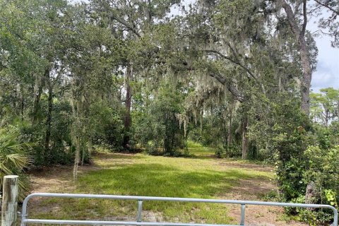 Land in Clermont, Florida № 1822279 - photo 23