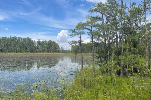 Land in Clermont, Florida № 1822279 - photo 8
