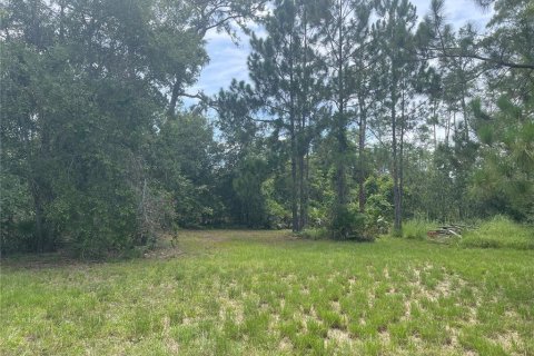 Land in Clermont, Florida № 1822279 - photo 20