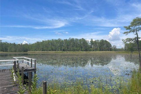 Land in Clermont, Florida № 1822279 - photo 9