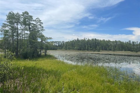 Land in Clermont, Florida № 1822279 - photo 12