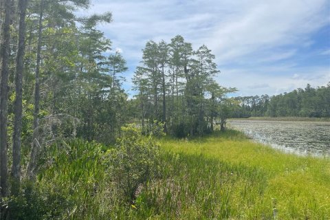 Land in Clermont, Florida № 1822279 - photo 13
