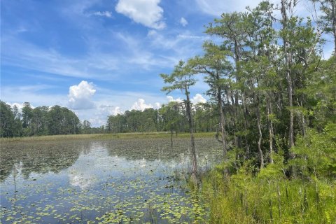 Land in Clermont, Florida № 1822279 - photo 22