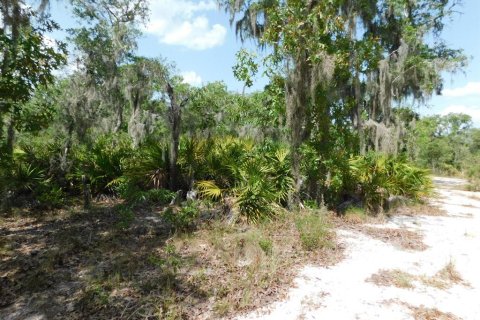 Land in Lake Wales, Florida № 1777086 - photo 4
