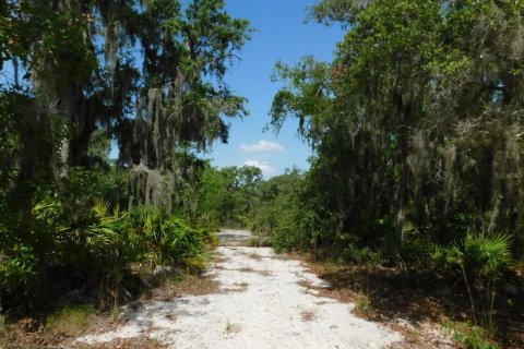 Land in Lake Wales, Florida № 1777086 - photo 5