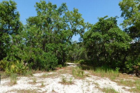 Land in Lake Wales, Florida № 1777086 - photo 8