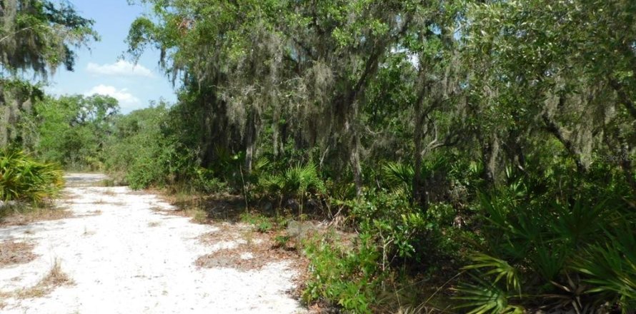Land in Lake Wales, Florida № 1777086