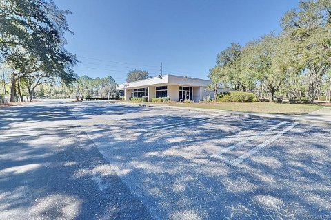 Commercial property in Citrus Springs, Florida 304.72 sq.m. № 1625859 - photo 8