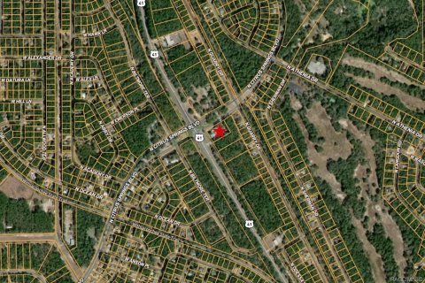 Commercial property in Citrus Springs, Florida 304.72 sq.m. № 1625859 - photo 21