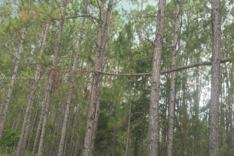Propiedad comercial en venta en Lakeland, Florida, 190.64 m2 № 1893461 - foto 13