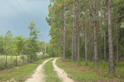 Propiedad comercial en venta en Lakeland, Florida, 190.64 m2 № 1893461 - foto 21