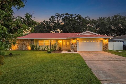 Casa en Brandon, Florida 5 dormitorios, 206.06 m2 № 2126891