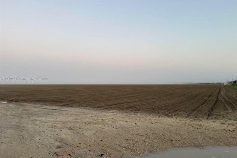 Commercial property in Miami, Florida № 1934033 - photo 1