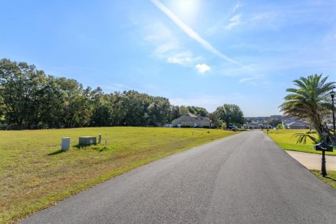 Land in Fruitland Park, Florida № 2213186