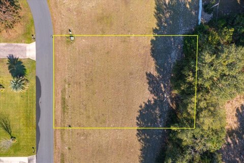 Land in Fruitland Park, Florida № 2213186 - photo 3