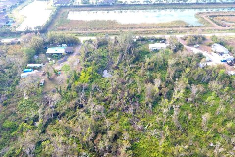 Land in Wimauma, Florida № 1513270 - photo 6