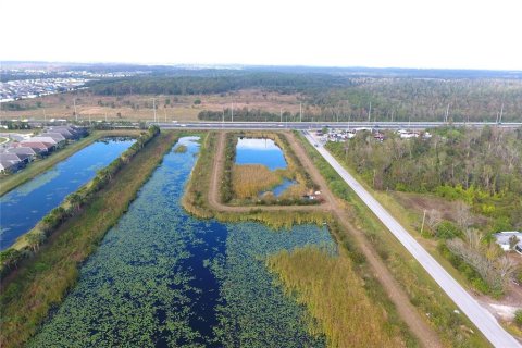 Land in Wimauma, Florida № 1513270 - photo 4