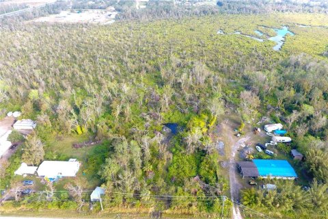 Land in Wimauma, Florida № 1513270 - photo 5
