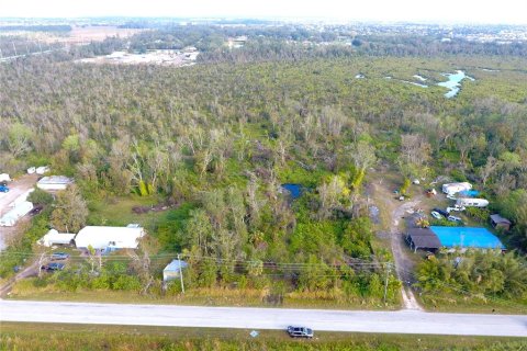 Land in Wimauma, Florida № 1513270 - photo 3