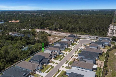Casa en alquiler en Palm Harbor, Florida, 4 dormitorios, 222.87 m2 № 2202618 - foto 25