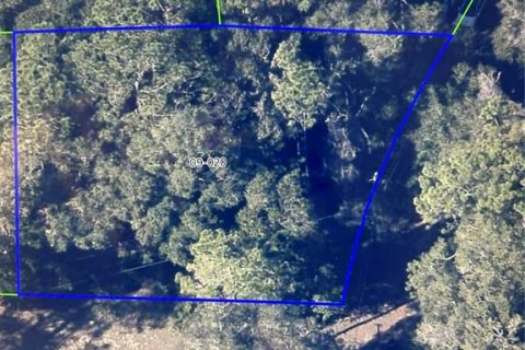 Land in Apopka, Florida № 1913042 - photo 1