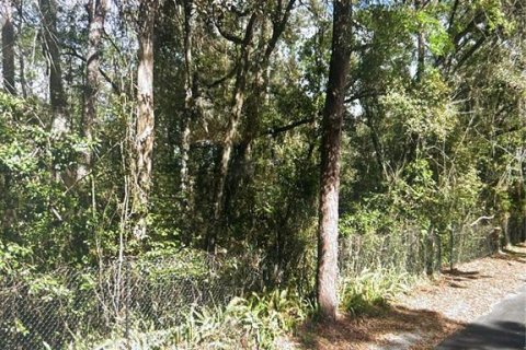 Land in Apopka, Florida № 1913042 - photo 4