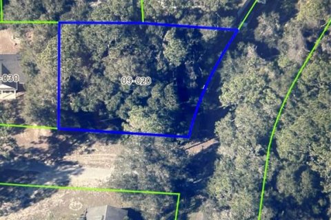 Land in Apopka, Florida № 1913042 - photo 2