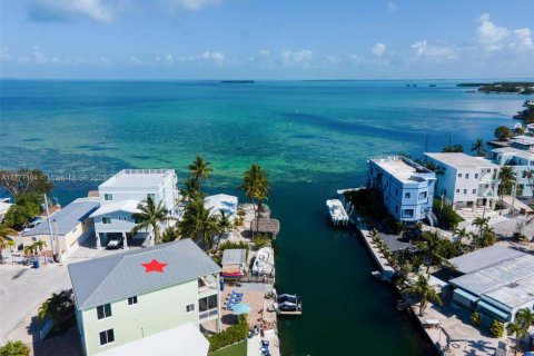 House in Tavernier, Florida 4 bedrooms, 233 sq.m. № 1863513 - photo 6