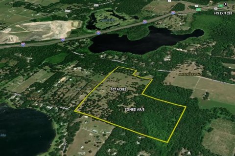 Land in Dade City, Florida № 2093936 - photo 2