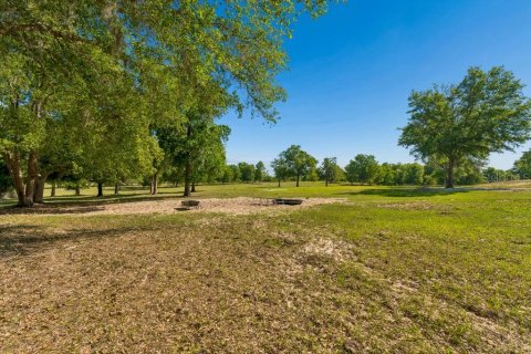 Land in Dade City, Florida № 2093936 - photo 9