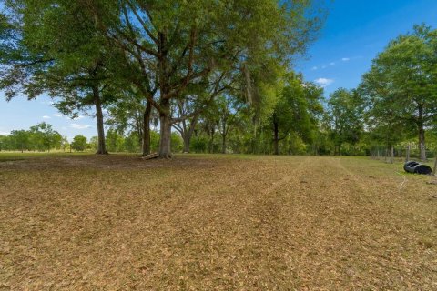 Land in Dade City, Florida № 2093936 - photo 13